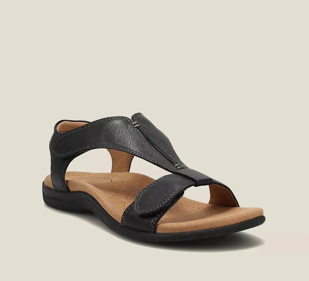 Navy Blue / 11