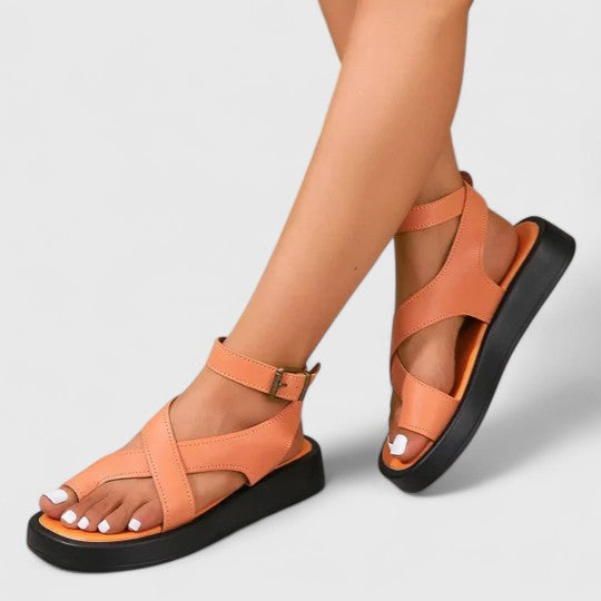 Orange / 11