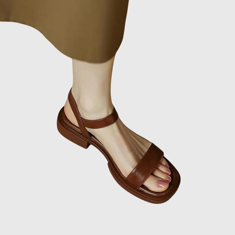 Brown / 11