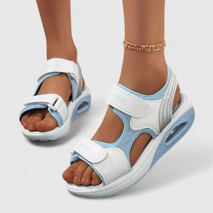 White/Blue / 11