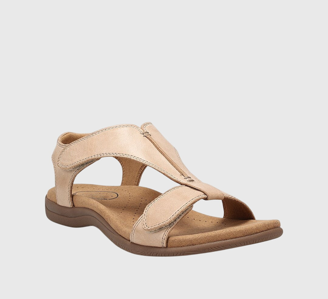 Beige / 11