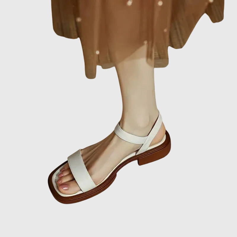 White / 11