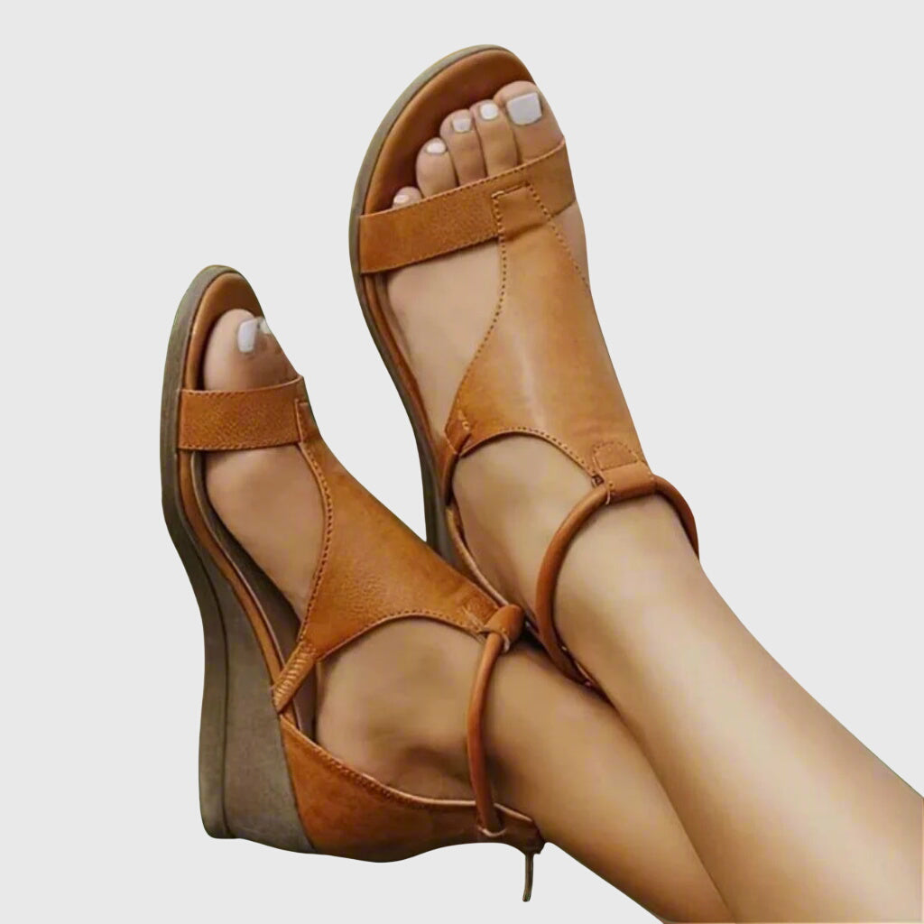 Brown / 11