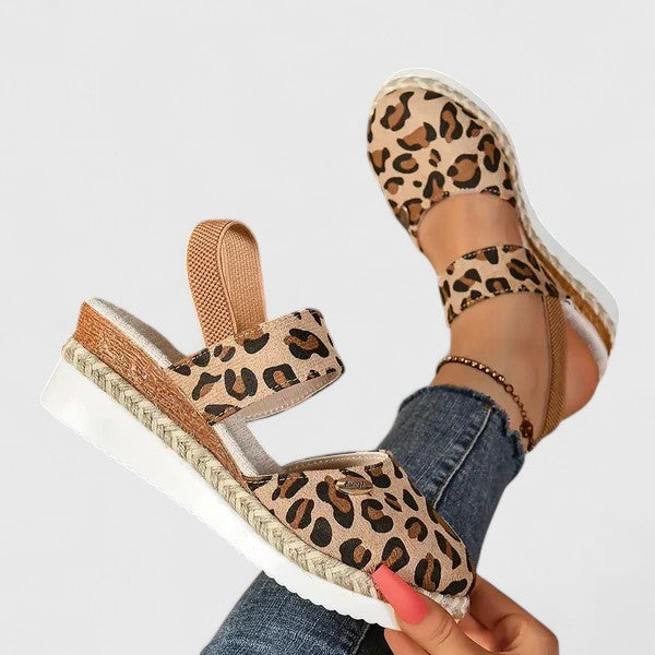 Leopard / 11