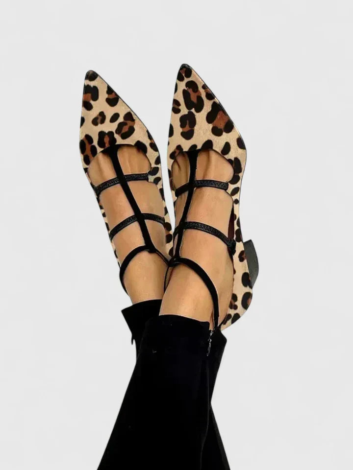 Leopard / 11