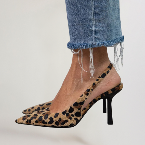 Leopard / 11