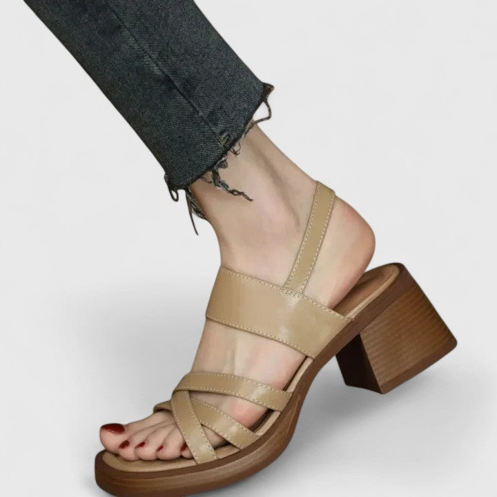 Brown / 11