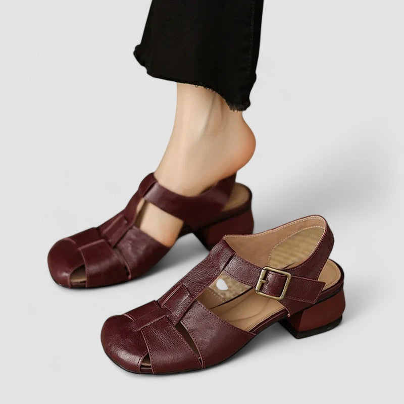 Brown / 11