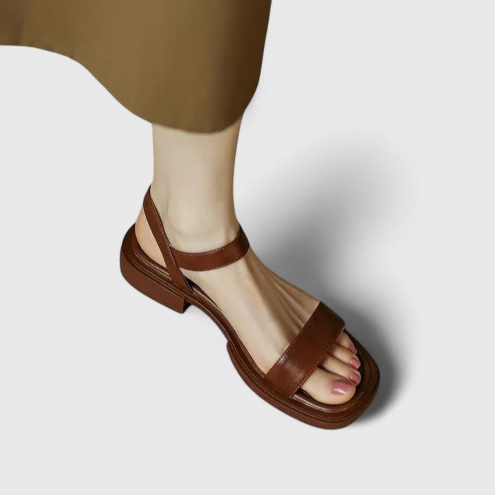 Brown / 11