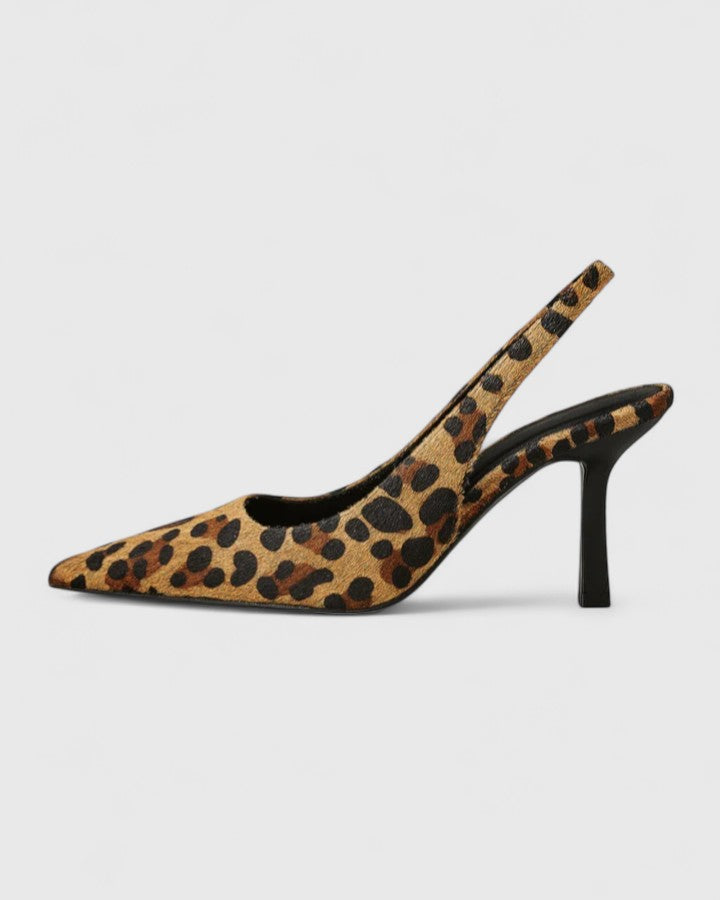 Leopard / 11