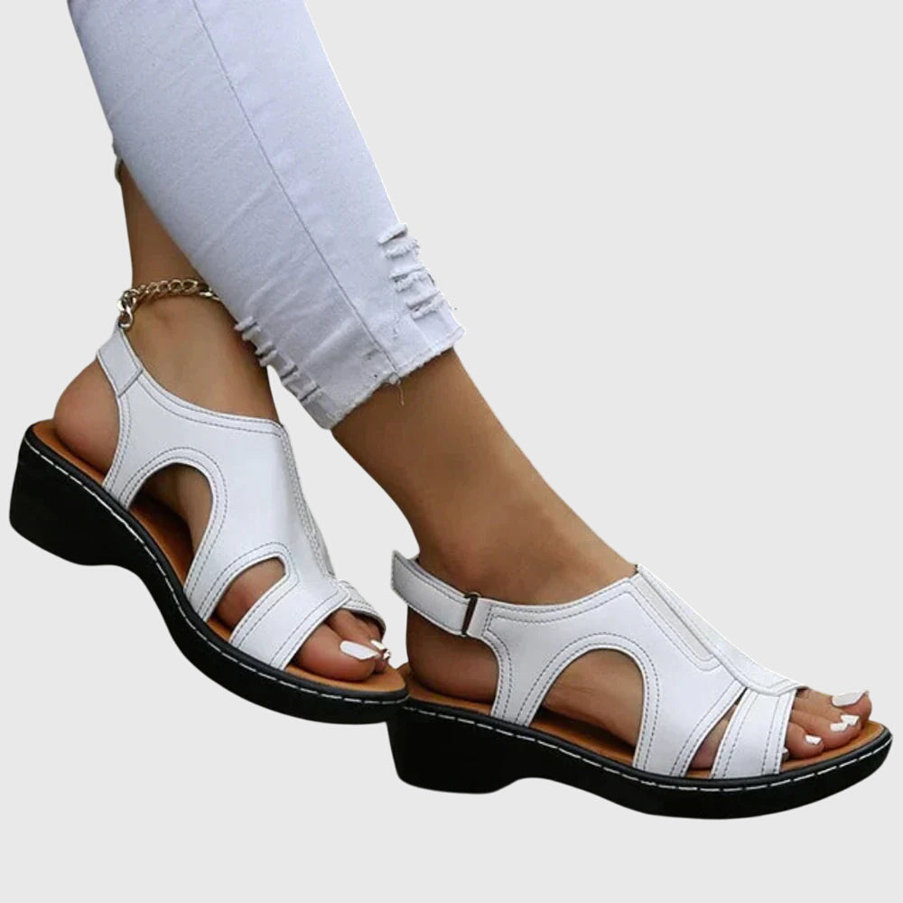 White / 11
