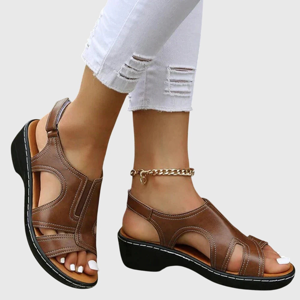 Brown / 11