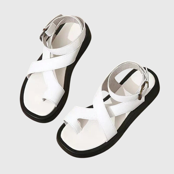 White / 11