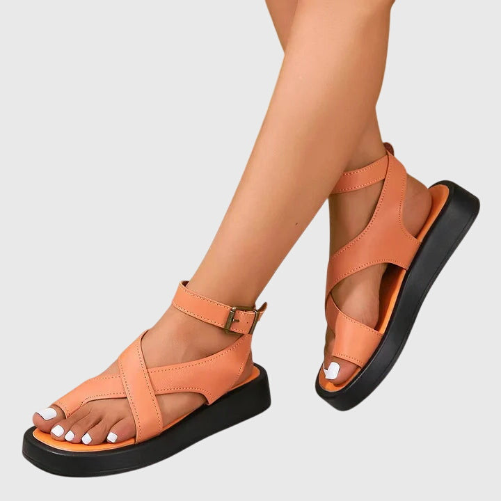 Orange / 11