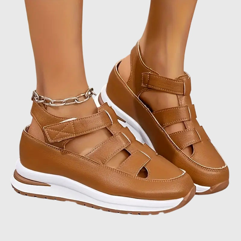 Brown / 11