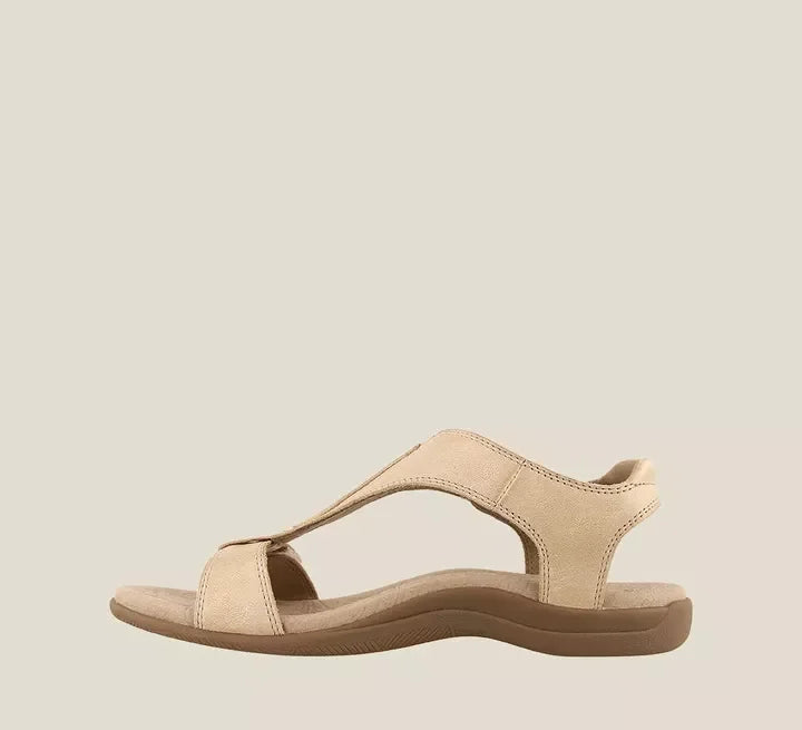 Beige / 11
